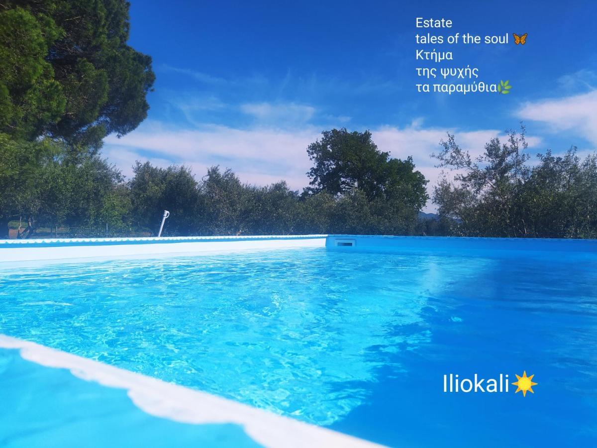 Bungalows With Private Pools "Tales Of The Soul - Της Ψυχής Τα Παραμύθια" Anemochori Exterior photo